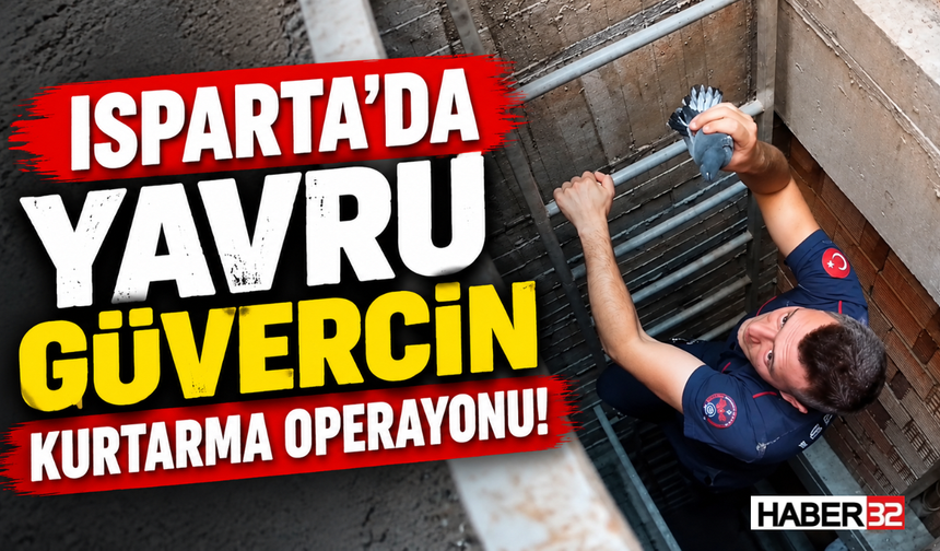 Isparta’da Yavru Güvercin Kurtarma Operayonu!
