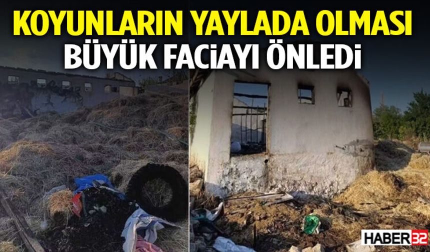 Koyunların Yaylada Olması Büyük Faciayı Önledi