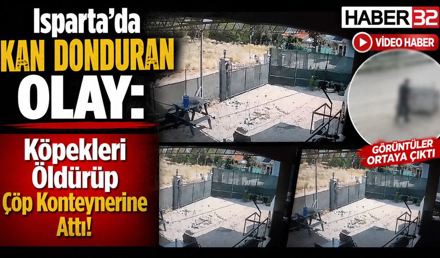 'Köpekleri Öldürüp Çöp Konteynerine Attı' İddiası!