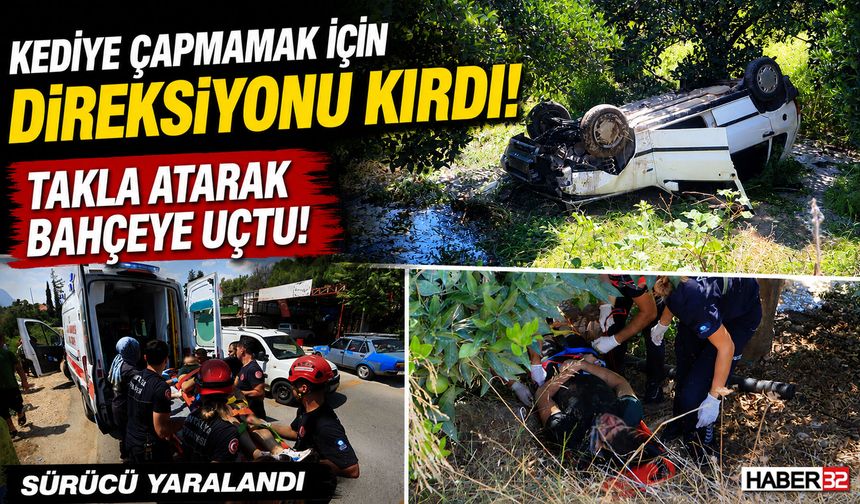 Kediye Çapmamak İçin Takla Atarak Bahçeye Uçtu!