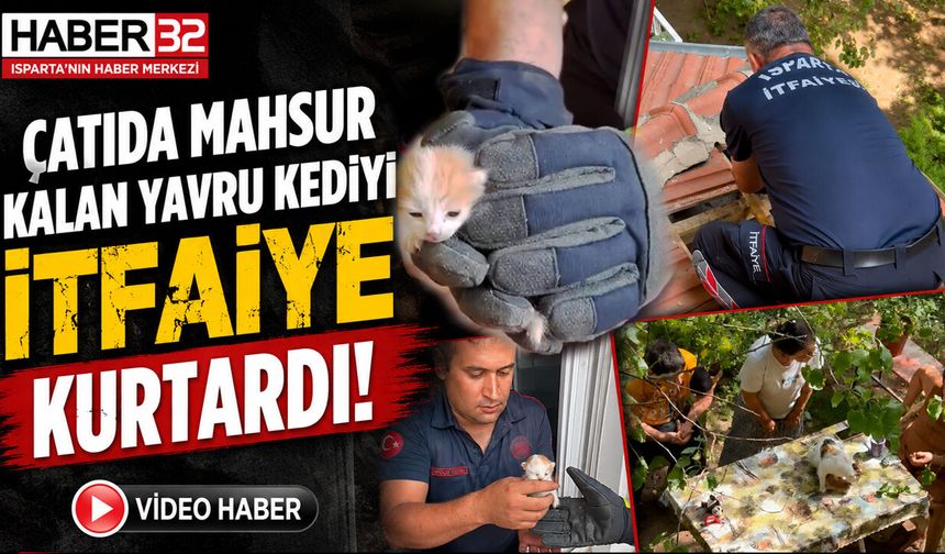 Çatıda Mahsur Kalan Yavru Kediyi İtfaiye Kurtardı!
