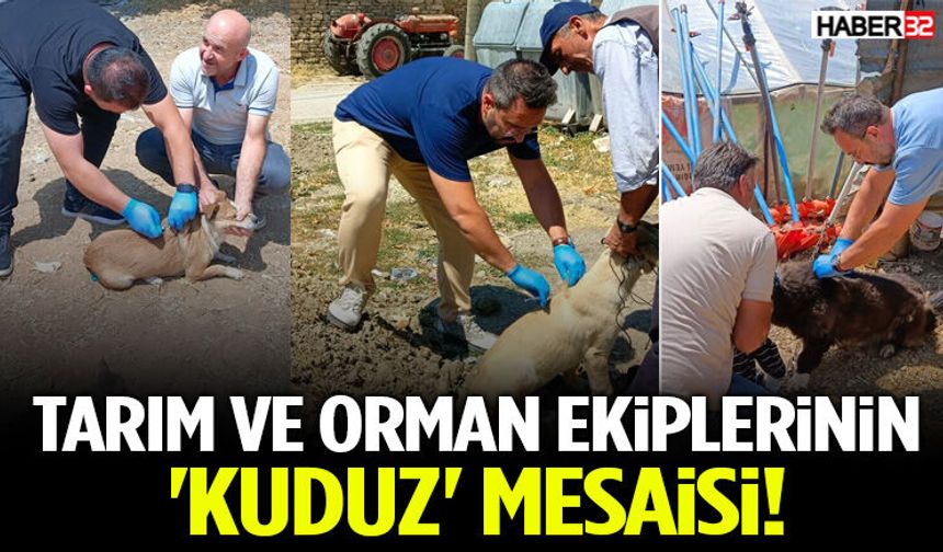 Tarım Ve Orman Ekiplerinin 'Kuduz' Mesaisi!