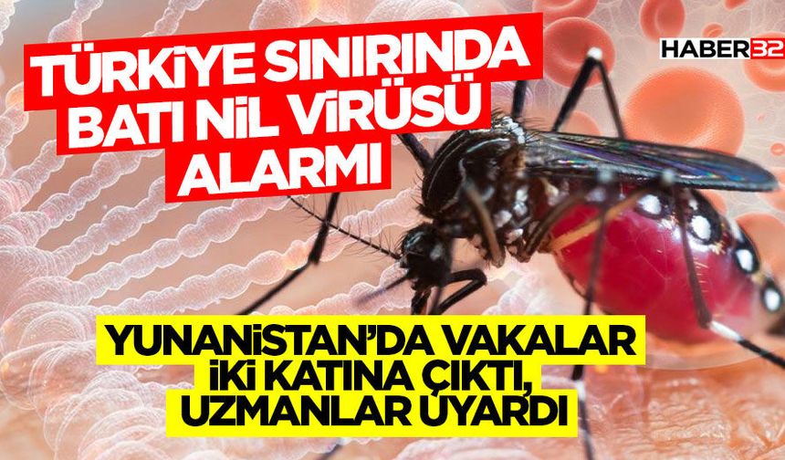 Türkiye Sınırında Batı Nil Virüsü Alarmı
