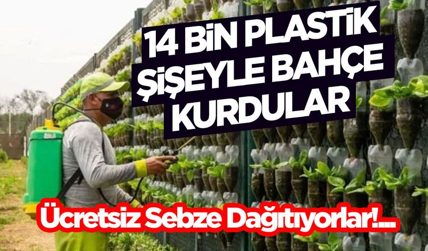 14 Bin Plastik Şişeyle Bahçe Kurdular