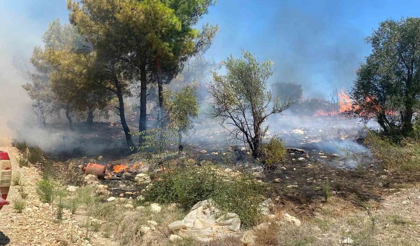 Antalya’da zirai alanda çıkan yangın büyümeden söndürüldü