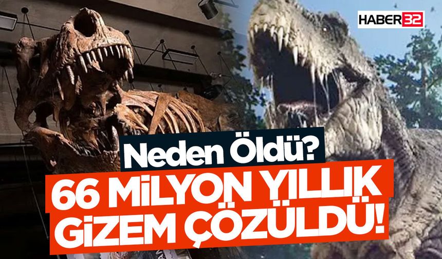 Dünyanın En Büyük T-Rex'i Nasıl Neden Öldü?