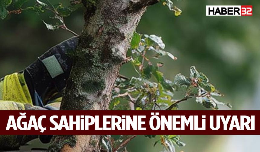 Ağaç Sahiplerine Önemli Uyarı: Süre Verildi