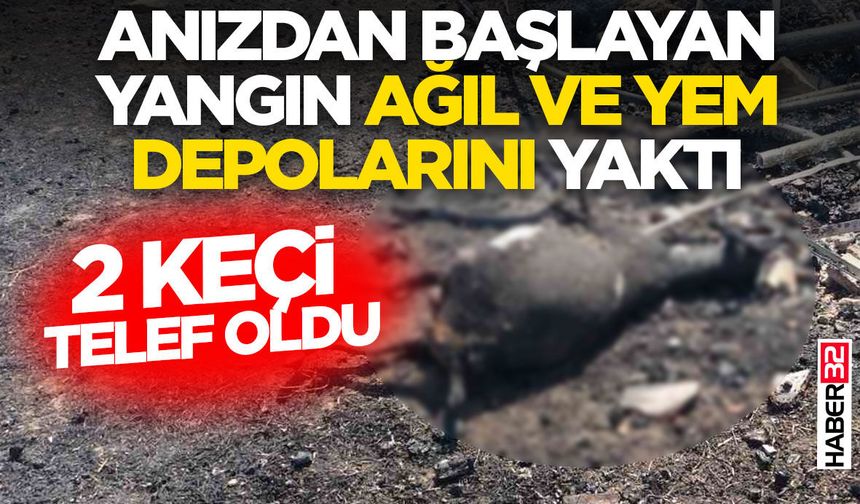 Anızdan başlayan yangın ağıl ve yem depolarını yaktı