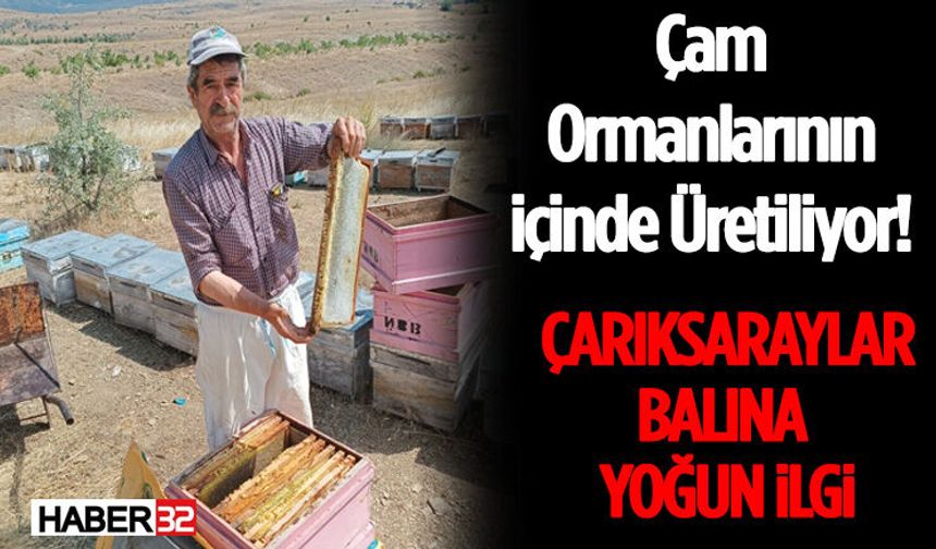 Çam Ormanlarının İçinde Üretiliyor! Çarıksaraylar Balına Yoğun İlgi