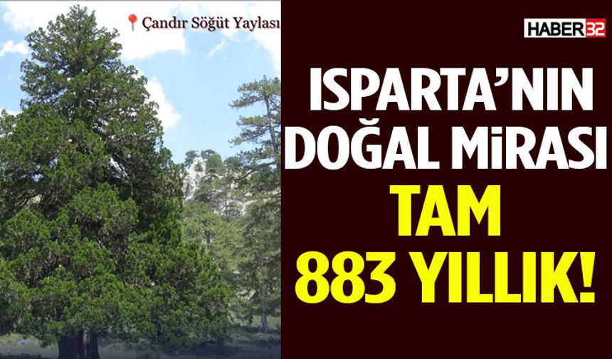 Isparta’nın Doğal Mirası Tam 883 Yıllık!