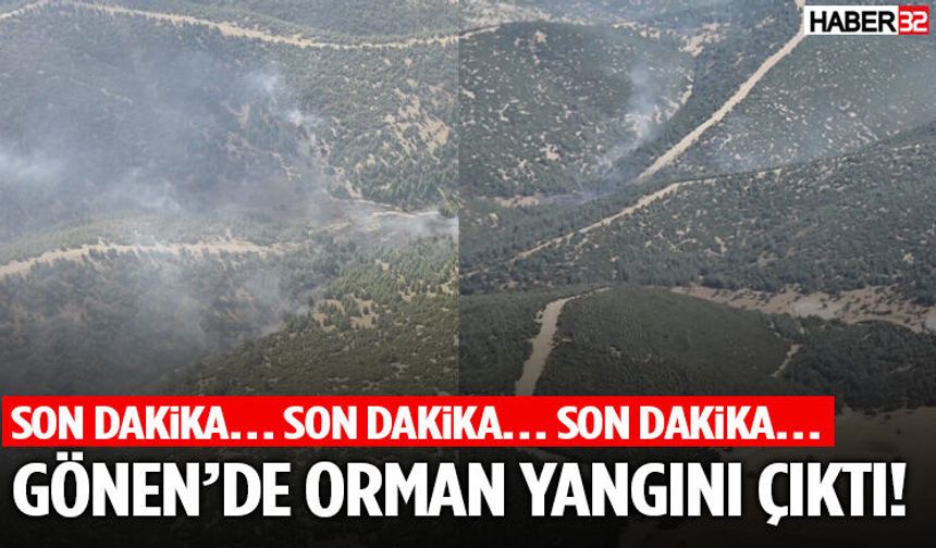 Gönen’de Orman Yangını Çıktı!
