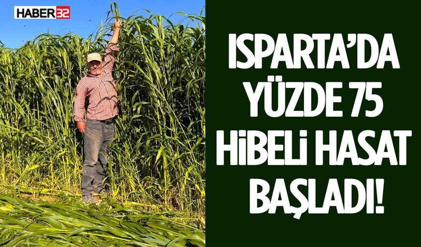 Isparta’da Yüzde 75 Hibeli Hasat Başladı!