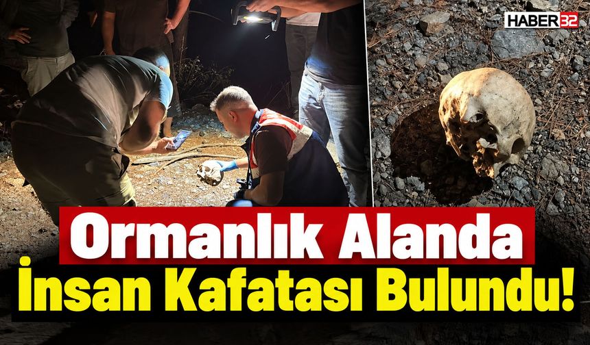 Ormanlık Alanda İnsan Kafatası Bulundu!