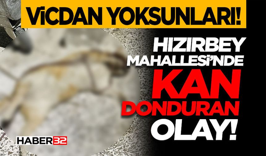 Hızırbey Mahallesi’nde Kan Donduran Olay!