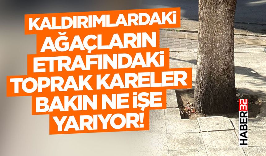 Kaldırımlardaki Ağaçların Etrafındaki Toprak Kareler Bakın Ne İşe Yarıyor