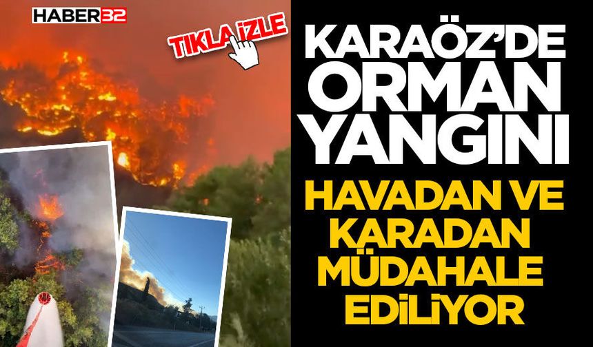 Orman Yangını: Havadan Ve Karadan Müdahale ediliyor