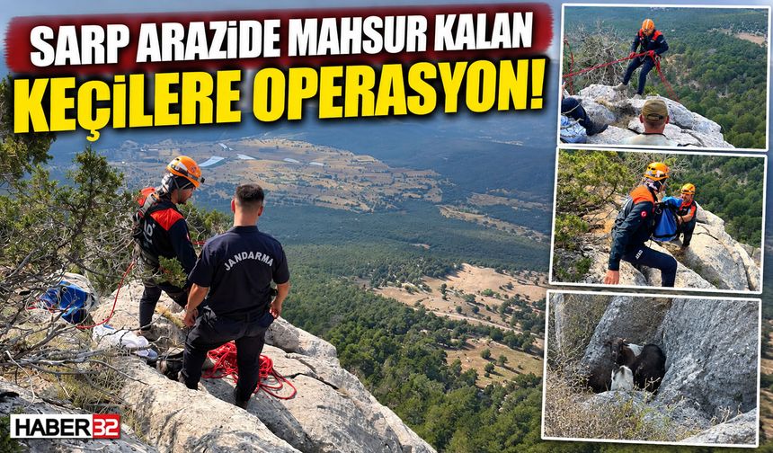 Sarp Arazide Mahsur Kalan Keçilere Operasyon!
