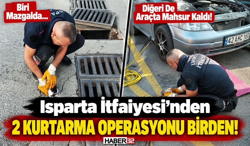 İtfaiye, Mahsur 2 Yavru Kedi İçin Seferber Oldu!