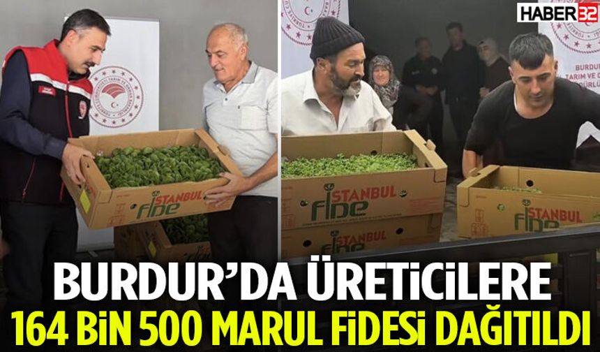 Burdur’da Üreticilere 164 Bin 500 Marul Fidesi Dağıtıldı