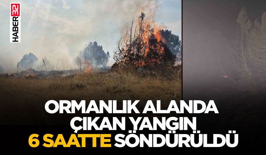 Isparta’da ormanlık alanda çıkan yangın 6 saatte söndürüldü