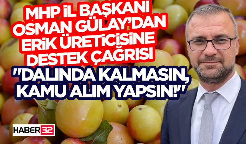 MHP İl Başkanı Osman Gülay’dan Erik Üreticisine Destek Çağrısı