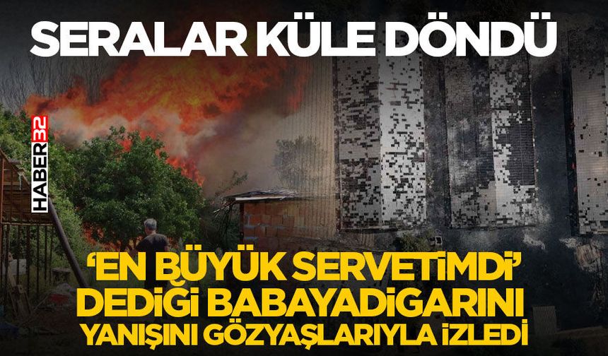 Yangında seralar küle döndü