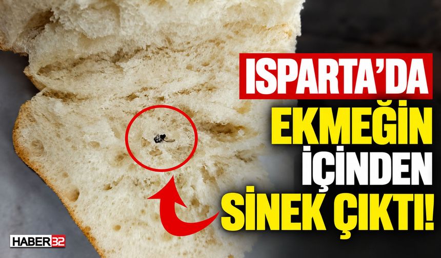 Isparta'da Ekmeğin İçinden Sinek Çıktı!