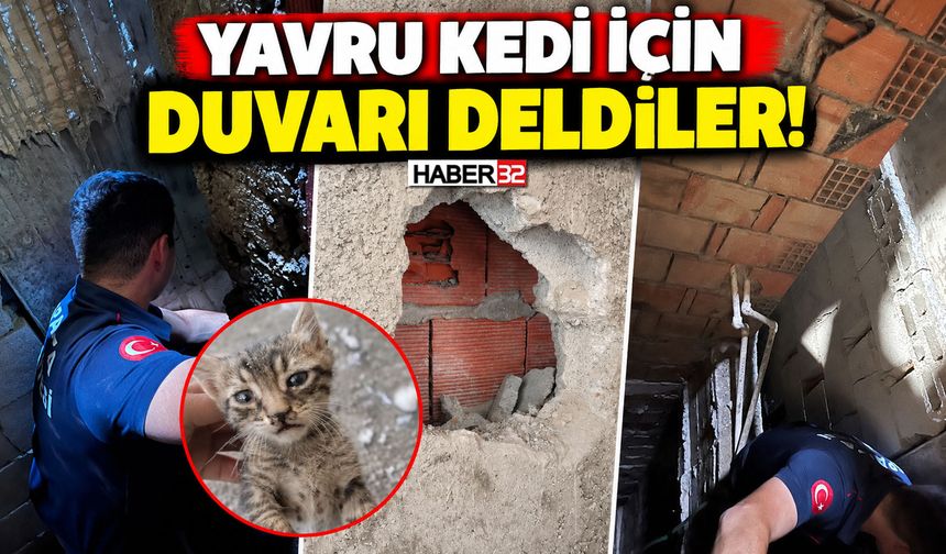 Yavru Kedi İçin Duvarı Deldiler!