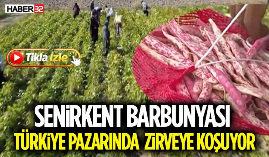 Senirkent Barbunyası Türkiye Pazarında Zirveye Koşuyor