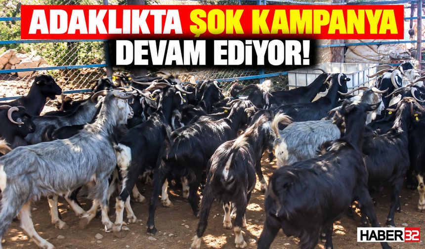 Adaklıkta Şok Kampanya Devam Ediyor! Seç - Al: 9 Bin TL