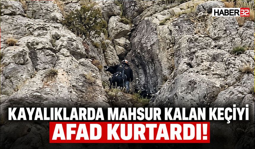 Kayalıklarda Mahsur Kalan Keçiyi AFAD Kurtardı!