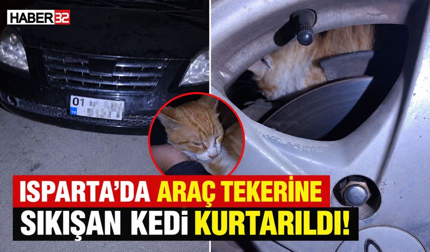 Isparta’da Araç Tekerine Sıkışan Kedi Kurtarıldı!