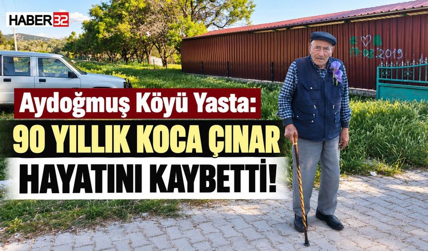 Aydoğmuş Köyü Yasta: 90 Yıllık Koca Çınar Hayatını Kaybetti!