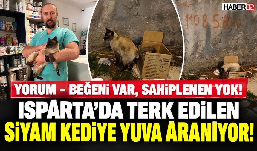Yorum - Beğeni Çok, Sahiplenen Yok!