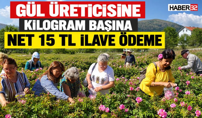Gül Üreticisine 15 Lira İlave Ödeme!