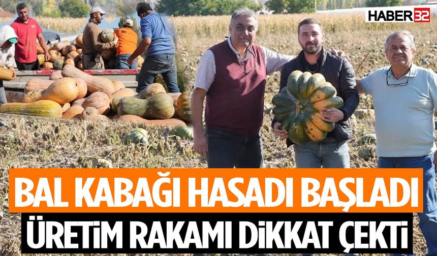 Isparta’da Bal Kabağı Hasadı Devam Ediyor