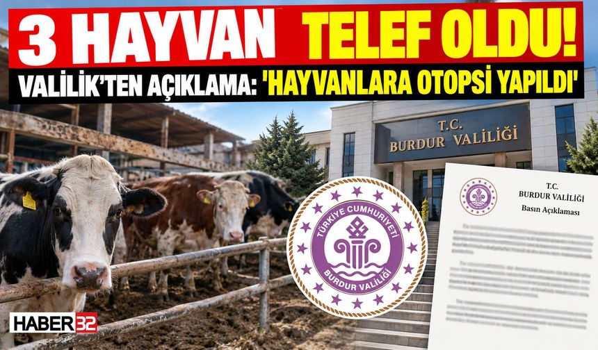 O Köyde Hayvanlar Telef Oldu: Valilik'ten Açıklama...