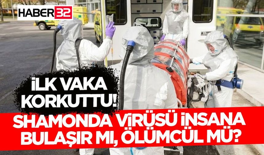 Shamonda Virüsü İnsana Bulaşır Mı, Ölümcül Mü?