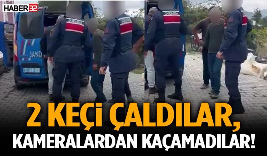 2 Keçi Çaldılar, Kameralardan Kaçamadılar!