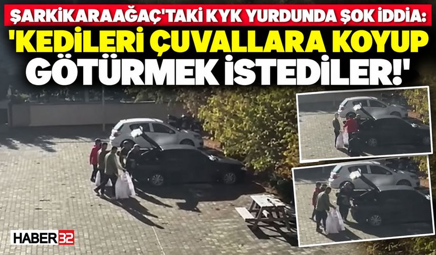 Şok! 'Kedileri Çuvala Koyup Götürmek İstediler' İddiası!