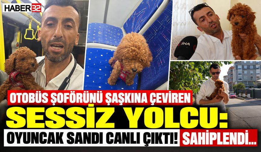 Otobüs Koltuğunda Bırakılan Köpeği Sahiplendi!