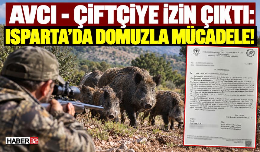 Avcı - Çiftçiye İzin Çıktı: Isparta'da Domuzla Mücadele!