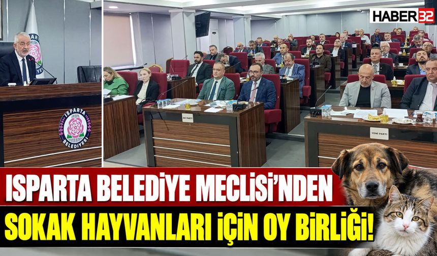 Belediye Meclisi'nde Sokak Hayvanları İçin Oy Birliği!