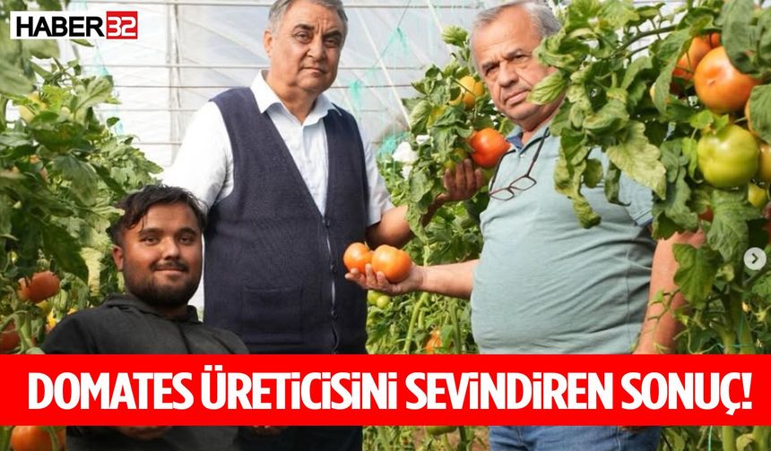 Domates Üreticisini Sevindiren Sonuç!