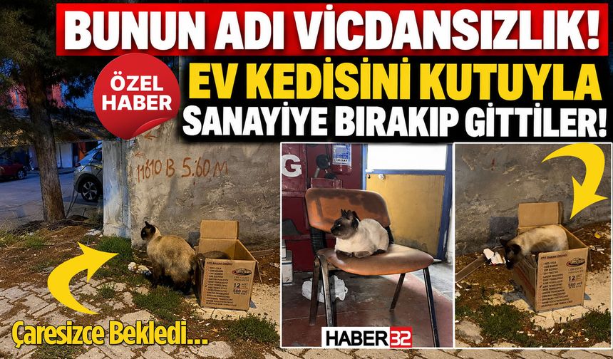 Bunun Adı: Vicdansızlık! Kutuyla Sanayiye Bırakıp Gittiler!