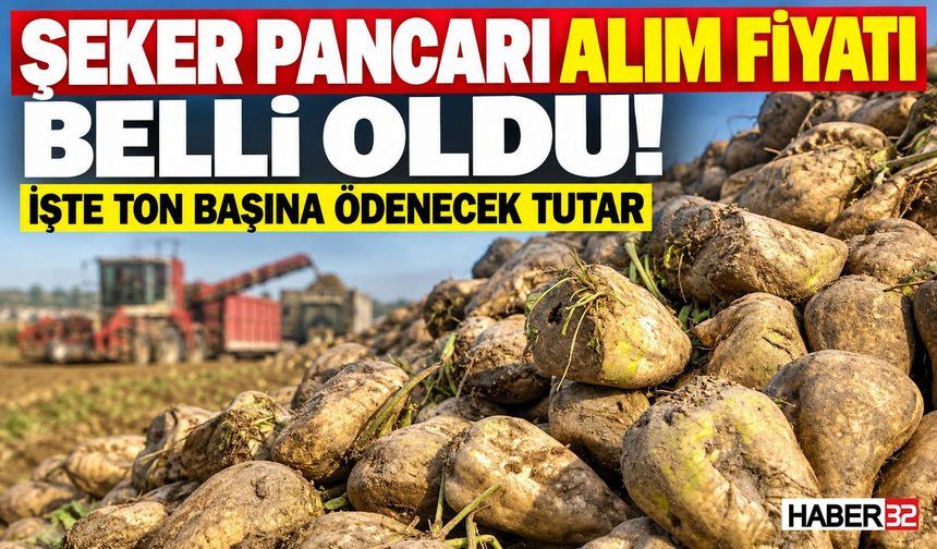 Şeker Pancarı Alım Fiyatı Belli Oldu: İşte, Detaylar...