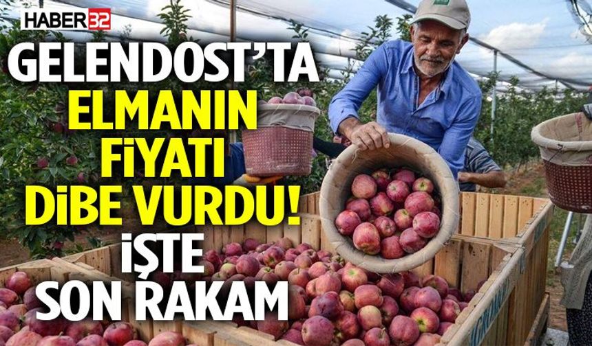 Gelendost’ta Elmanın Fiyatı Dibe Vurdu! İşte Son Rakam