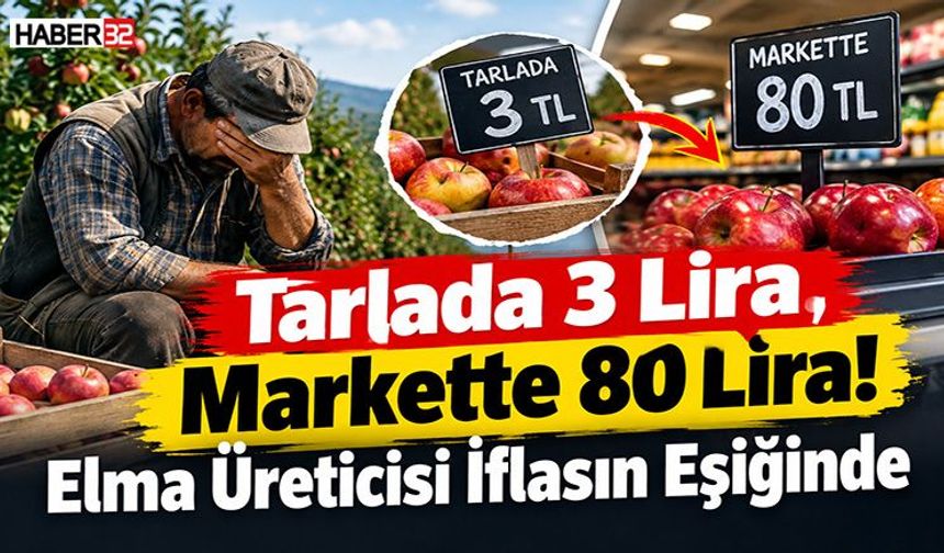Tarlada 3 Lira, Markette 80 Lira! Elma Üreticisi İflasın Eşiğinde