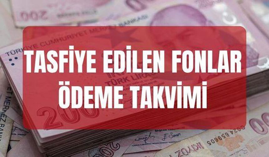 Tasfiye Edilen Fonlar Ne Zaman Ödenecek?