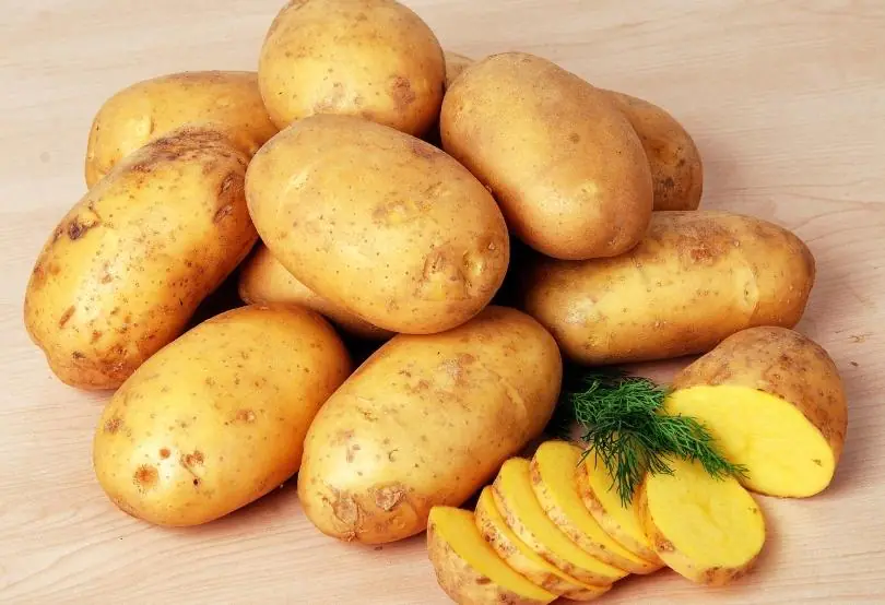 Patates Alerjisi